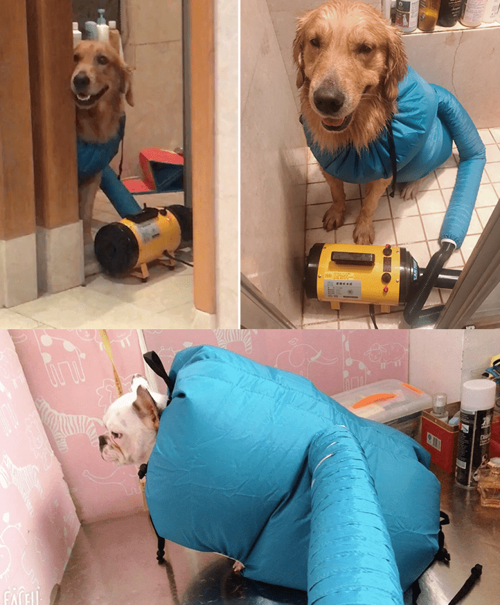 Pet Drying Box, Dryer, and Drying Bag - Lifestyle Haven
