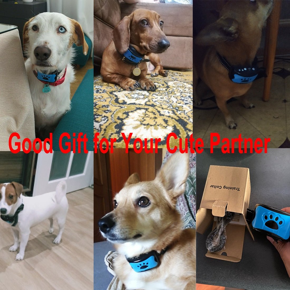 Ultrasonic Anti-Bark Dog Training Collar - Lifestyle Haven