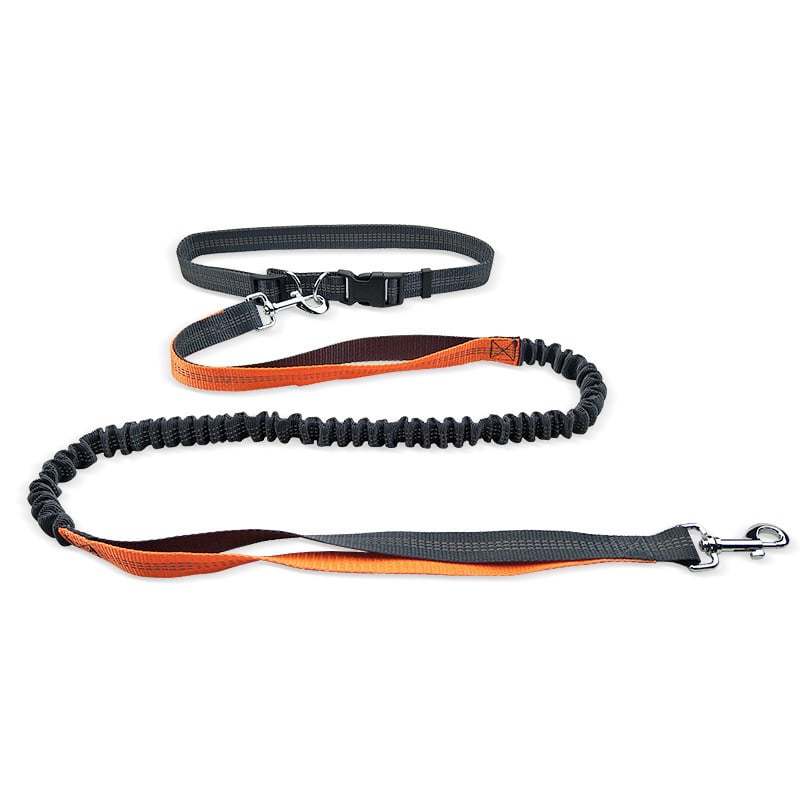 Dog Walking Belt with Detachable Shockproof Leash - Lifestyle Haven