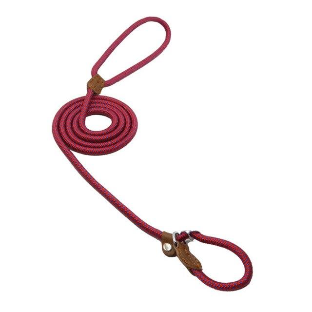 Nylon Pup Set - Lifestyle Haven