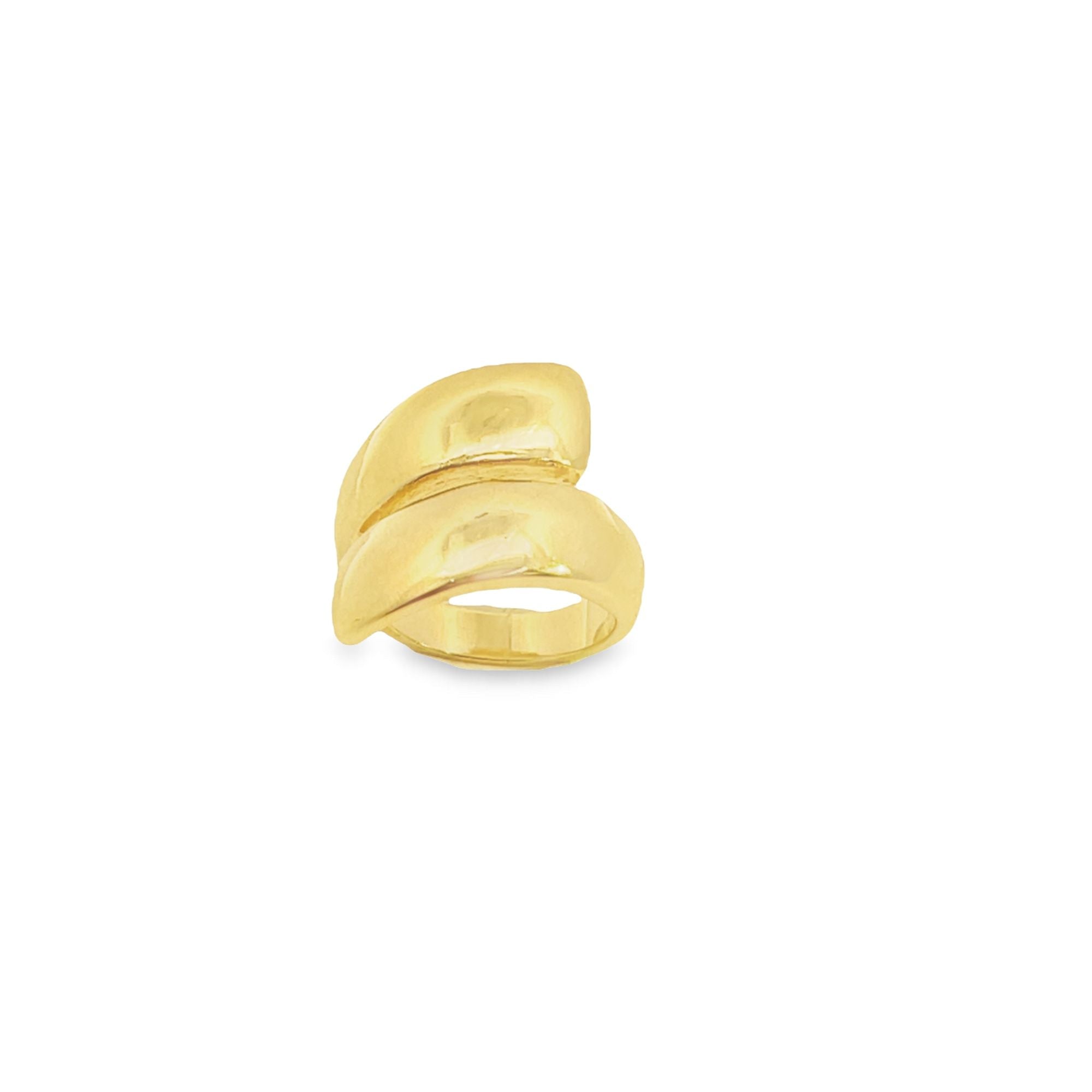 Spiral Ring (d111)