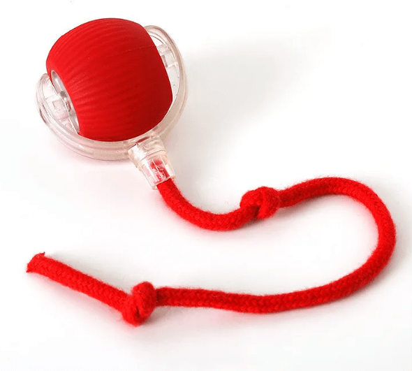 PurrPlay Self-Rolling Cat Toy Ball - Lifestyle Haven