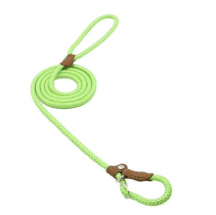 Nylon Pup Set - Lifestyle Haven