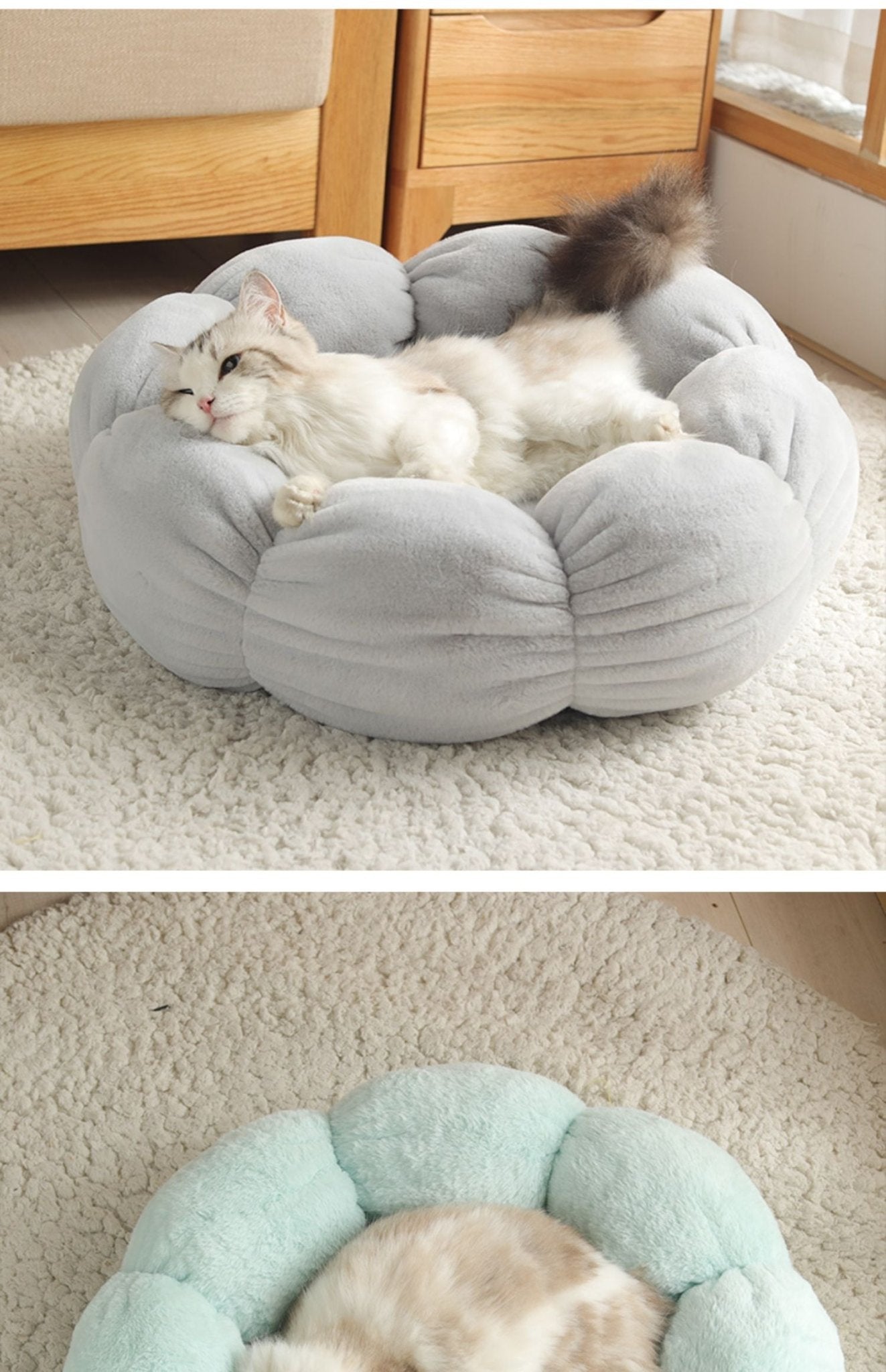 Universal Washable Cat and Dog Bed - Lifestyle Haven