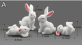 Mini Resin Animal Figurines – DIY Micro-Landscape Decor - Lifestyle Haven