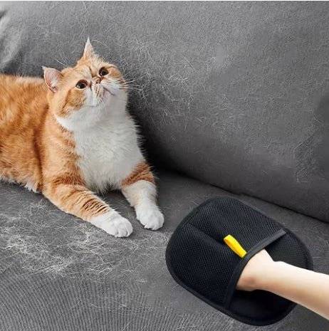 Fur Remover Glove (Private Listing U1175793) - Lifestyle Haven