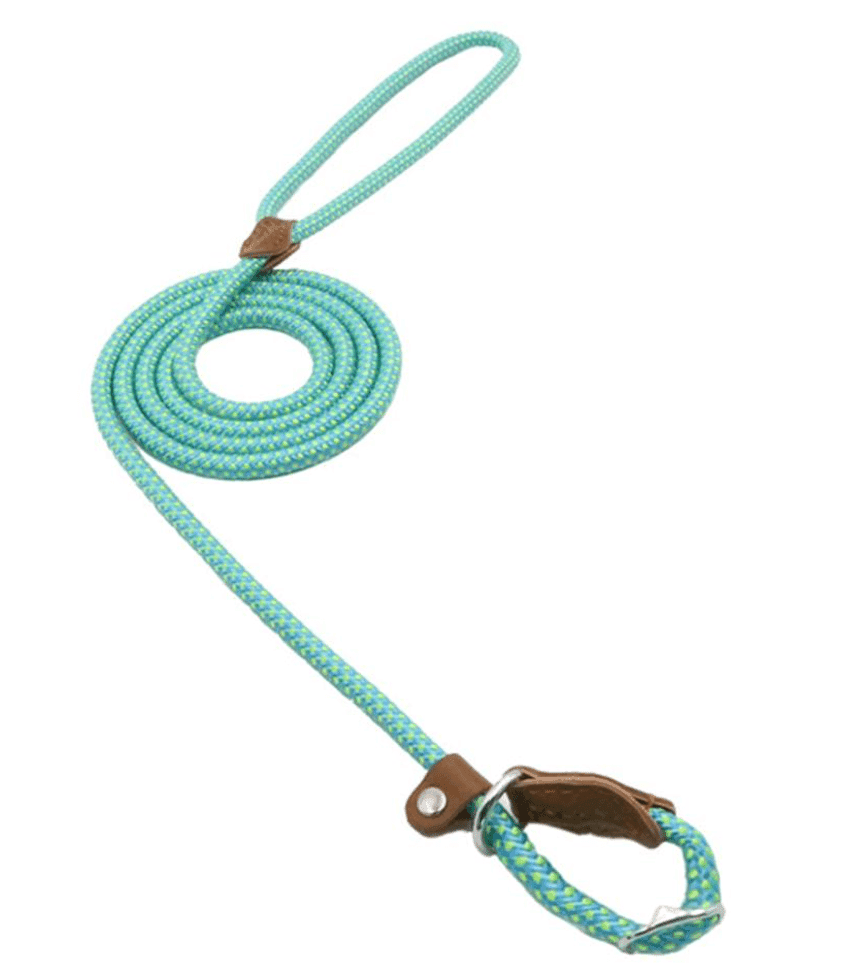 Nylon Pup Set - Lifestyle Haven