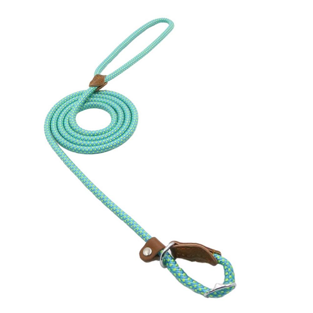 Nylon Pup Set - Lifestyle Haven