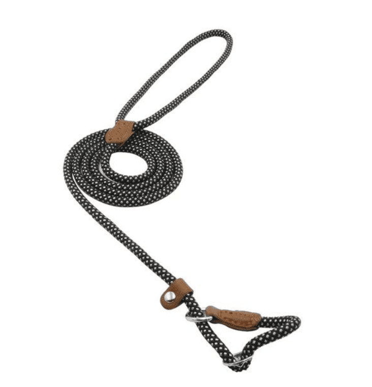 Nylon Pup Set - Lifestyle Haven