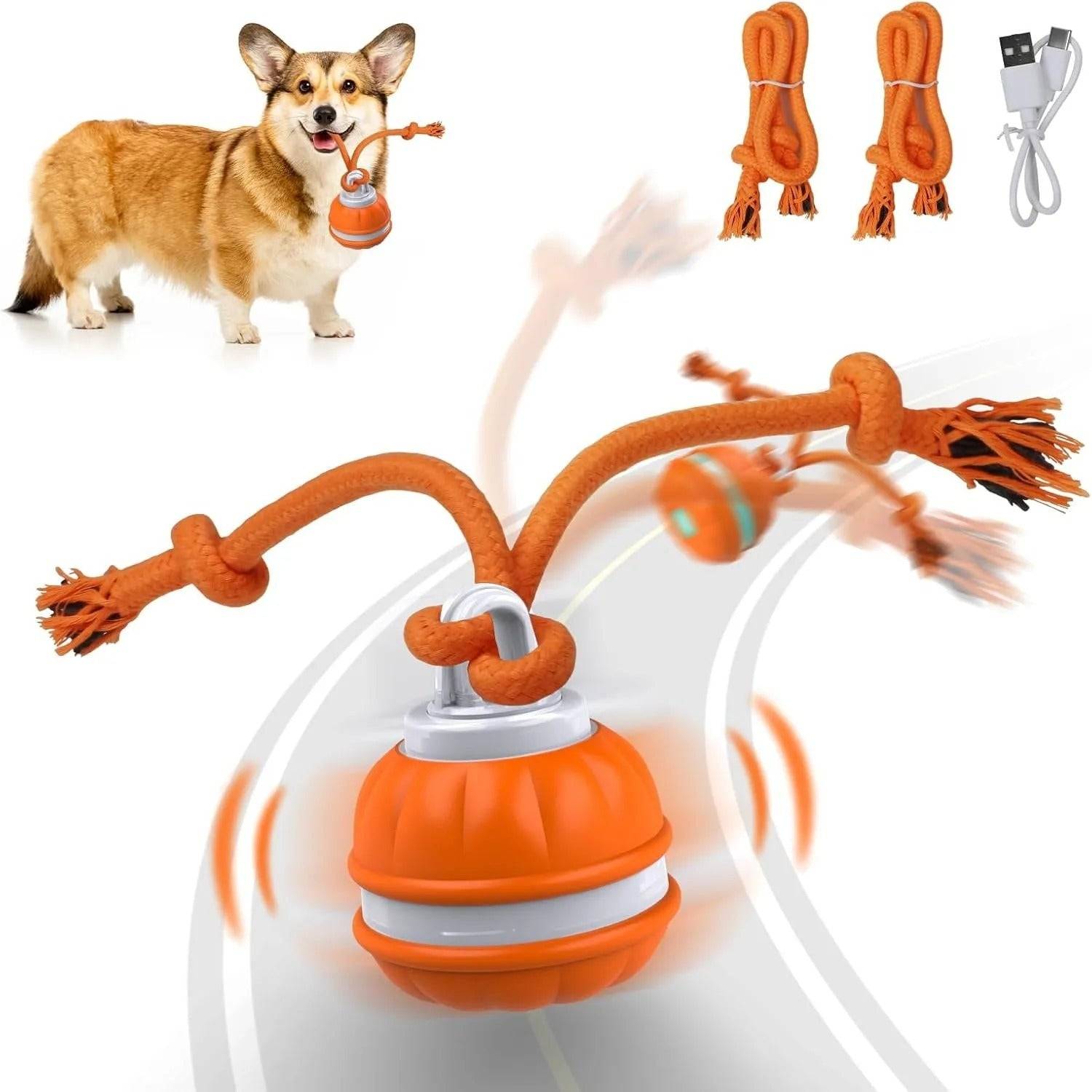 Interactive Pet Rolling Ball Toy USB Rechargeable - Lifestyle Haven