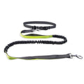 Dog Walking Belt with Detachable Shockproof Leash - Lifestyle Haven