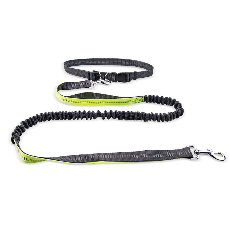 Dog Walking Belt with Detachable Shockproof Leash - Lifestyle Haven