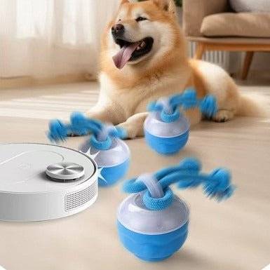 Interactive Pet Rolling Ball Toy USB Rechargeable - Lifestyle Haven
