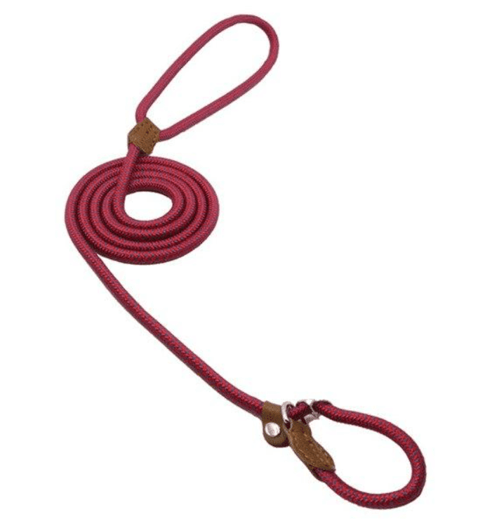 Nylon Pup Set - Lifestyle Haven