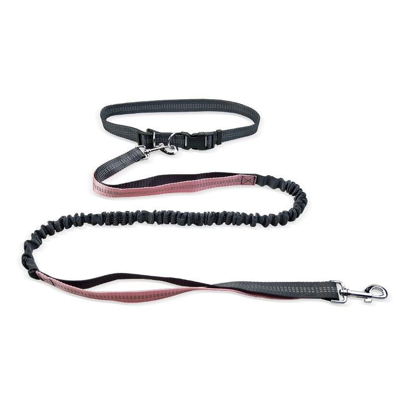 Dog Walking Belt with Detachable Shockproof Leash - Lifestyle Haven