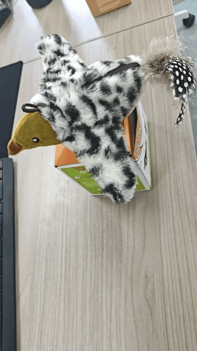 Plush Bird Pet Toy - Lifestyle Haven