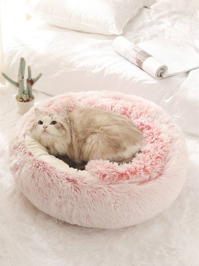 2-in1 Pet Bed - Lifestyle Haven