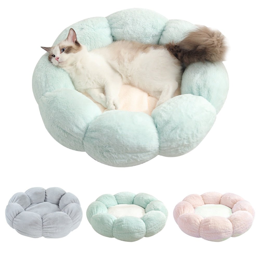 Universal Washable Cat and Dog Bed - Lifestyle Haven