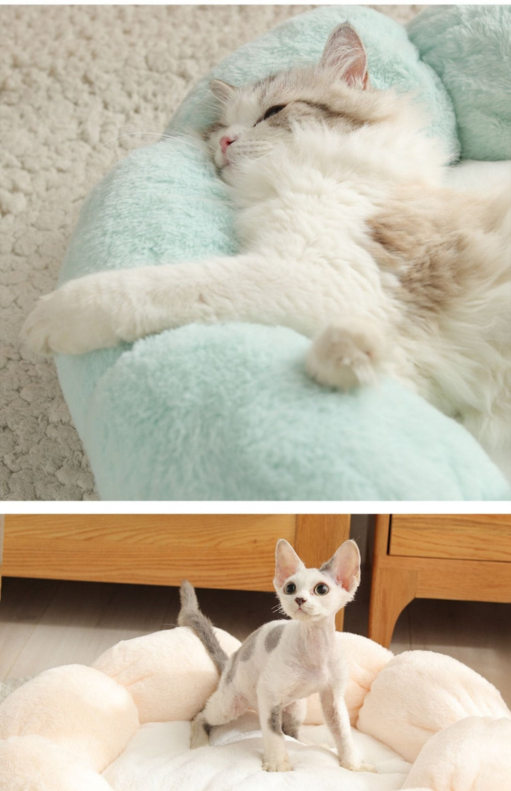 Universal Washable Cat and Dog Bed - Lifestyle Haven