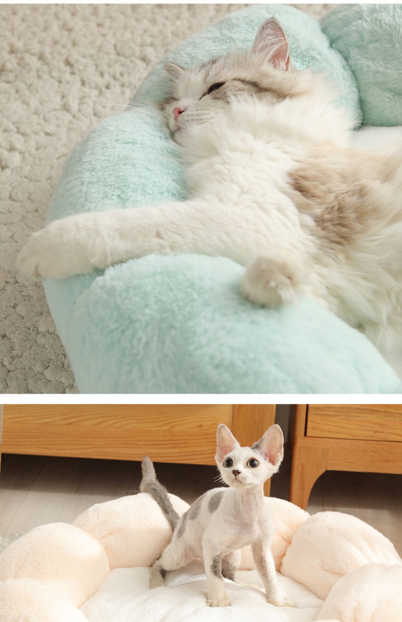 Universal Washable Cat and Dog Bed - Lifestyle Haven