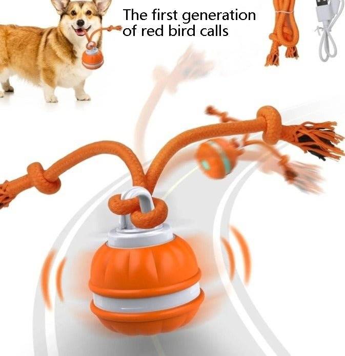 Interactive Pet Rolling Ball Toy USB Rechargeable - Lifestyle Haven