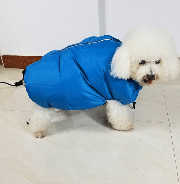 Pet Drying Box, Dryer, and Drying Bag - Lifestyle Haven