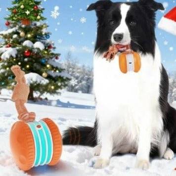 Interactive Pet Rolling Ball Toy USB Rechargeable - Lifestyle Haven