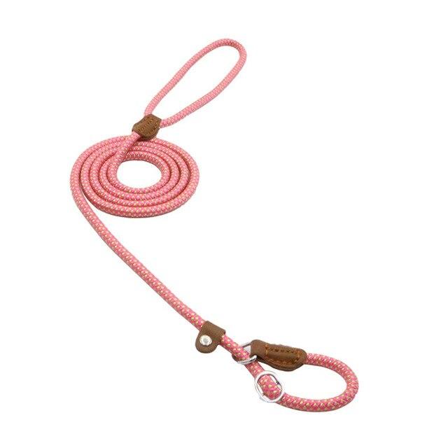 Nylon Pup Set - Lifestyle Haven