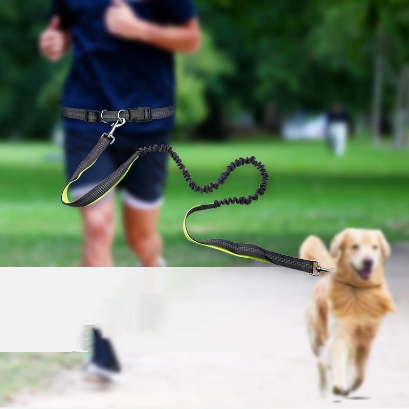 Dog Walking Belt with Detachable Shockproof Leash - Lifestyle Haven