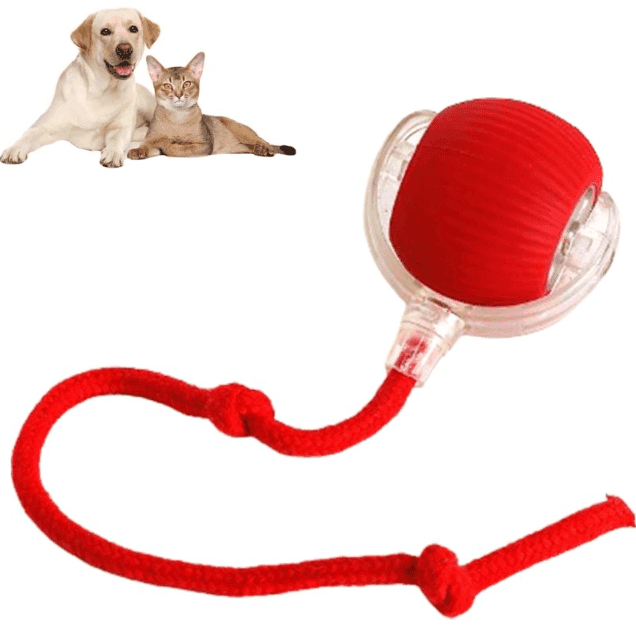 Smart Rolling Pet Ball - Lifestyle Haven