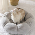 Universal Washable Cat and Dog Bed - Lifestyle Haven