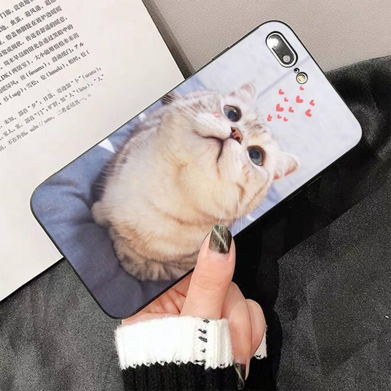 Cute Cat Black Phone Case For IPhone 13 8 7 6 6S Plus X 5 5S SE 2020 XR 11 Pro XS MAX Slim Fit Soft Print Design Flexible Silicone Cover For iPhone by Stevvex
