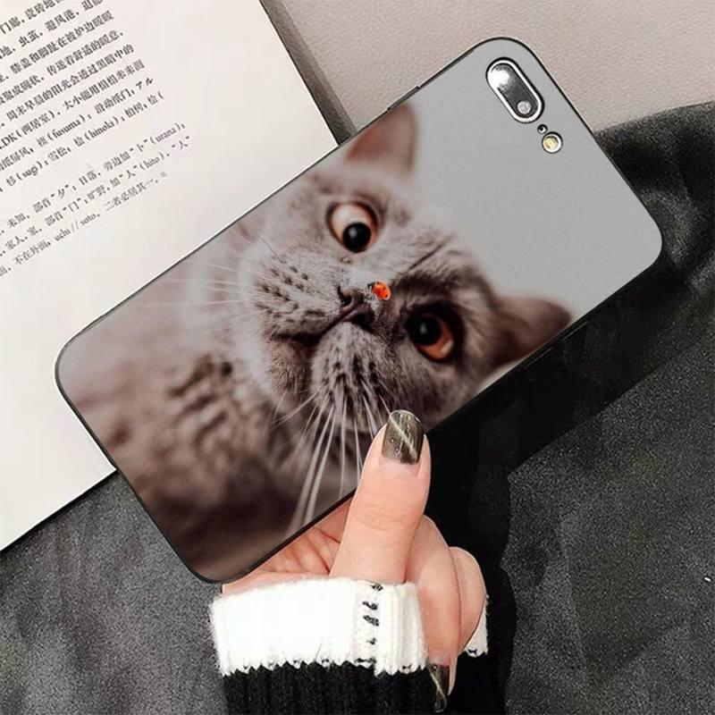 Cute Cat Black Phone Case For IPhone 13 8 7 6 6S Plus X 5 5S SE 2020 XR 11 Pro XS MAX Slim Fit Soft Print Design Flexible Silicone Cover For iPhone by Stevvex