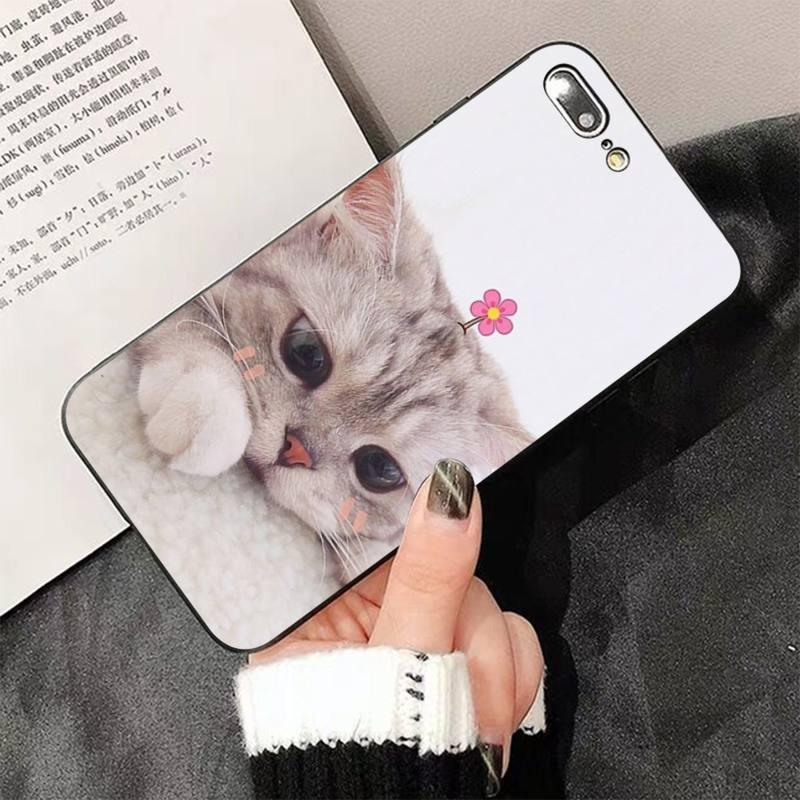 Cute Cat Black Phone Case For IPhone 13 8 7 6 6S Plus X 5 5S SE 2020 XR 11 Pro XS MAX Slim Fit Soft Print Design Flexible Silicone Cover For iPhone by Stevvex