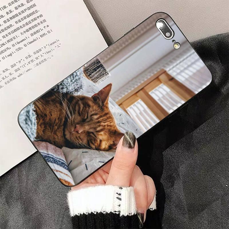 Cute Cat Black Phone Case For IPhone 13 8 7 6 6S Plus X 5 5S SE 2020 XR 11 Pro XS MAX Slim Fit Soft Print Design Flexible Silicone Cover For iPhone by Stevvex