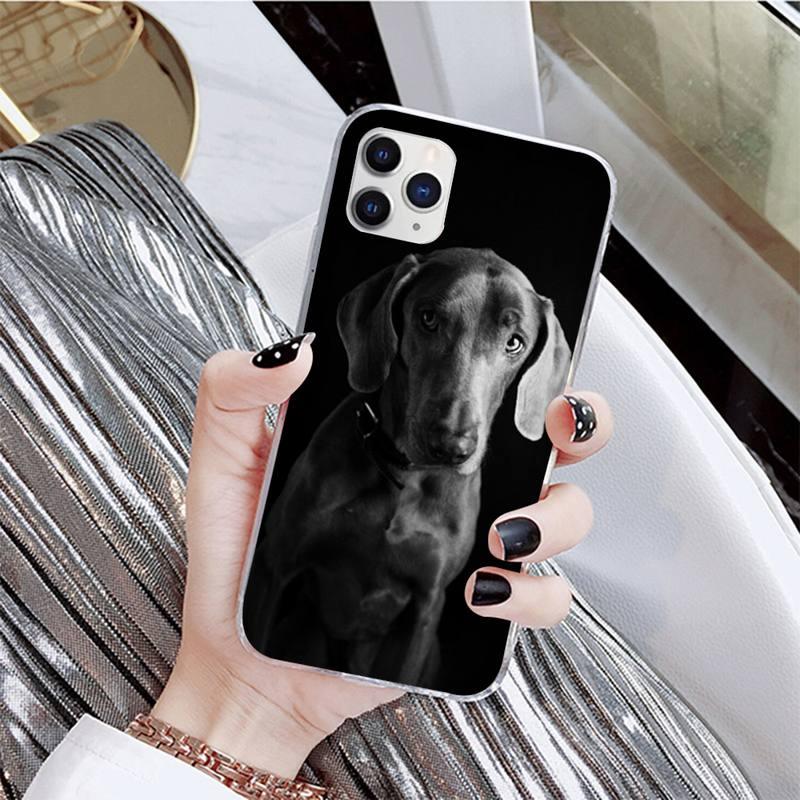 Dog Phone Case For Iphone 11 12 13 Mini Pro Max 8 7 6 6s Plus X 5 Se 2020 Xr Xs Case Shell Cute Funny Pattern Black Phone Case by Stevvex