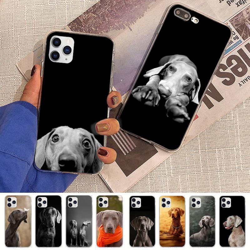Dog Phone Case For Iphone 11 12 13 Mini Pro Max 8 7 6 6s Plus X 5 Se 2020 Xr Xs Case Shell Cute Funny Pattern Black Phone Case by Stevvex