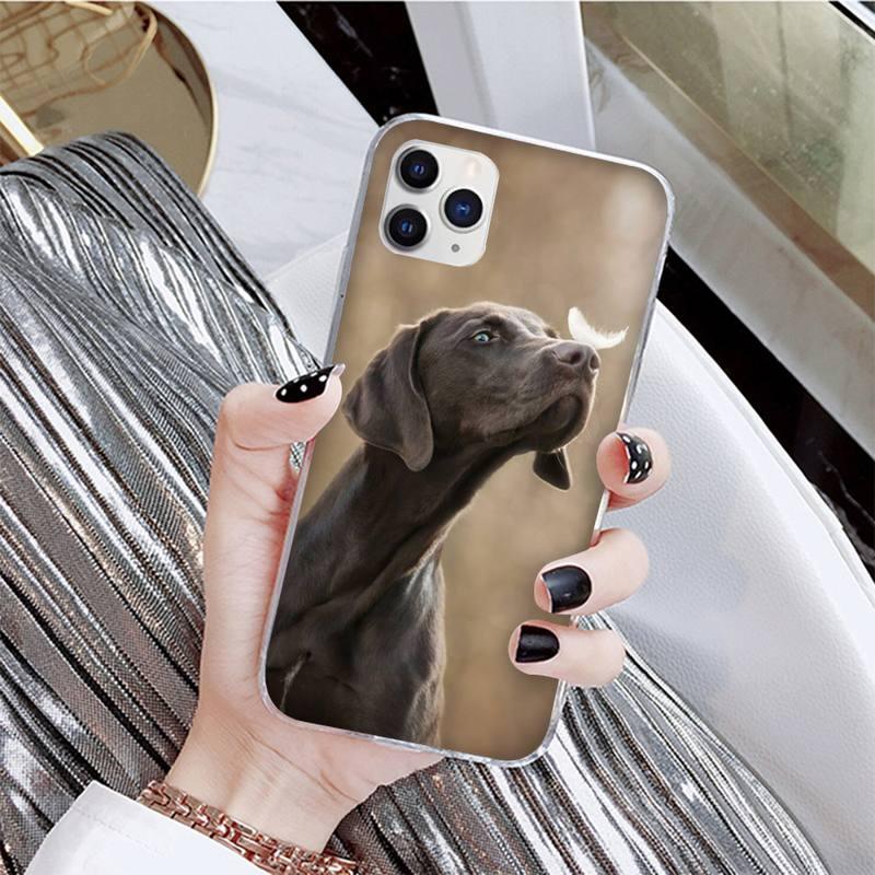 Dog Phone Case For Iphone 11 12 13 Mini Pro Max 8 7 6 6s Plus X 5 Se 2020 Xr Xs Case Shell Cute Funny Pattern Black Phone Case by Stevvex