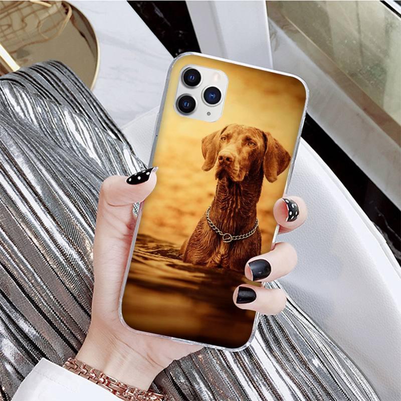 Dog Phone Case For Iphone 11 12 13 Mini Pro Max 8 7 6 6s Plus X 5 Se 2020 Xr Xs Case Shell Cute Funny Pattern Black Phone Case by Stevvex