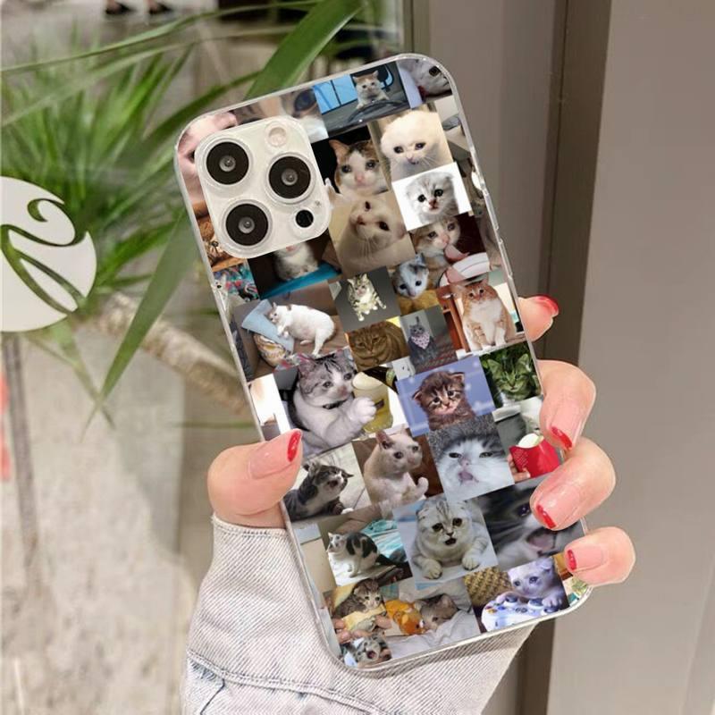 Crying Cat Memes Phone Case Mask Colorful Case For Cat Lovers For Iphone 7 And 8 In Moedern Design by Stevvex