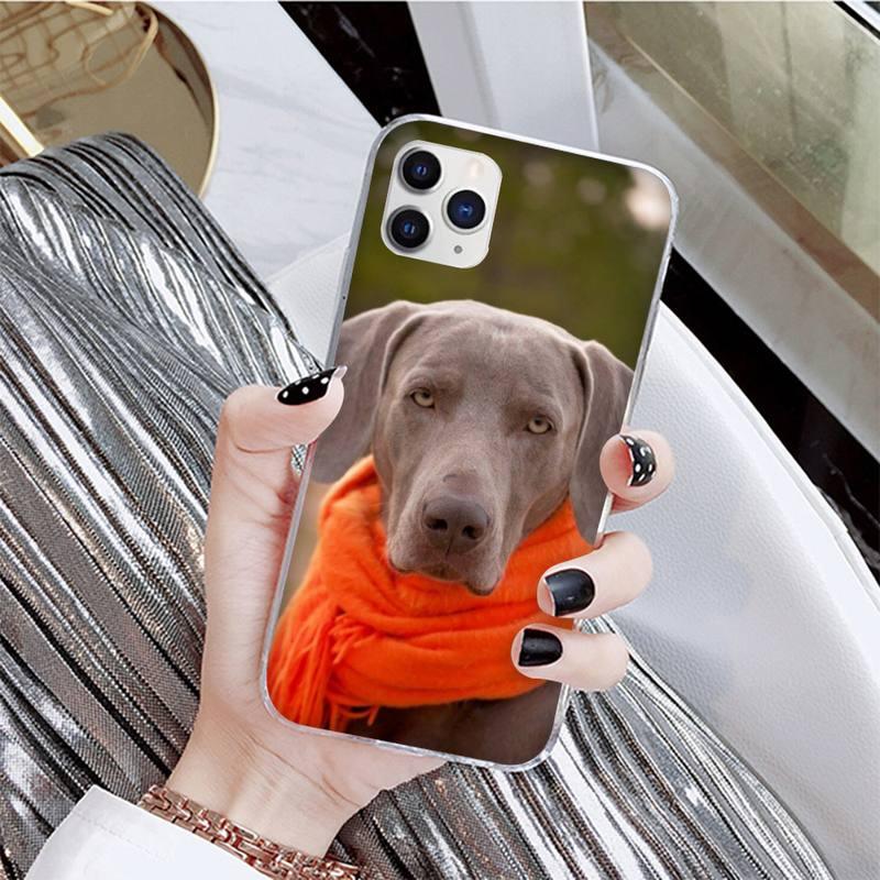 Dog Phone Case For Iphone 11 12 13 Mini Pro Max 8 7 6 6s Plus X 5 Se 2020 Xr Xs Case Shell Cute Funny Pattern Black Phone Case by Stevvex