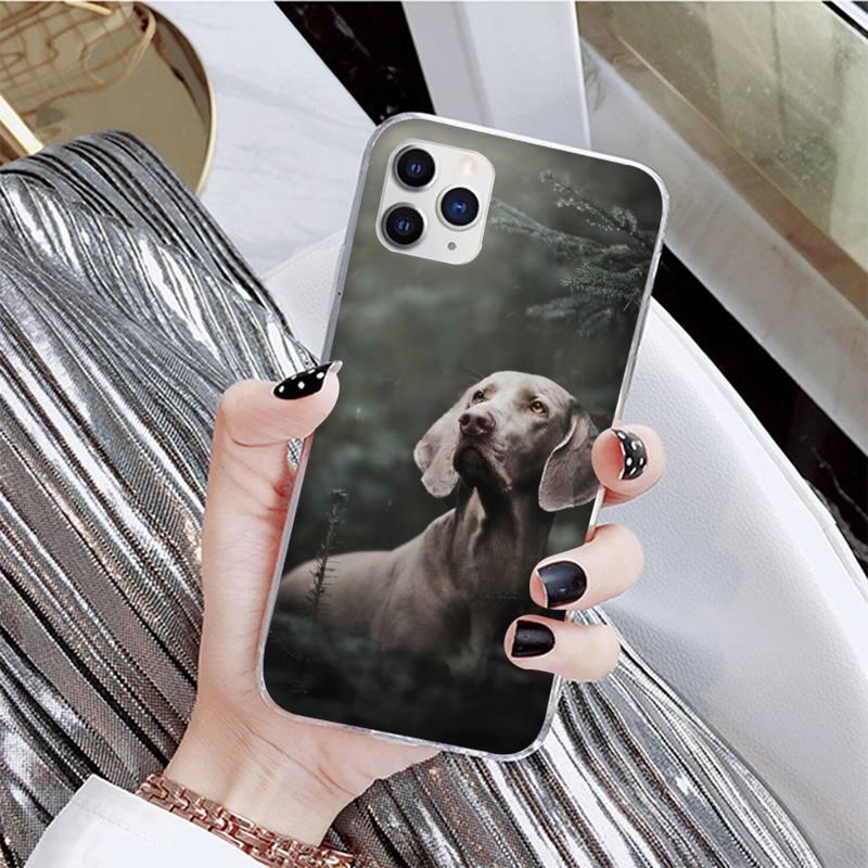 Dog Phone Case For Iphone 11 12 13 Mini Pro Max 8 7 6 6s Plus X 5 Se 2020 Xr Xs Case Shell Cute Funny Pattern Black Phone Case by Stevvex