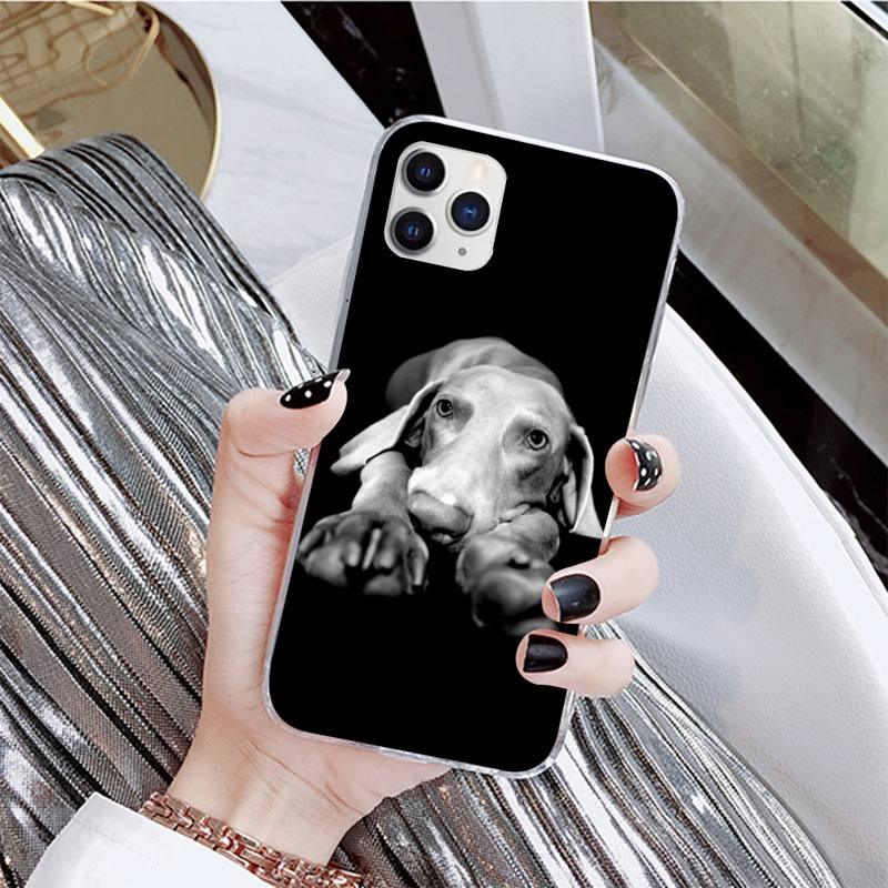 Dog Phone Case For Iphone 11 12 13 Mini Pro Max 8 7 6 6s Plus X 5 Se 2020 Xr Xs Case Shell Cute Funny Pattern Black Phone Case by Stevvex