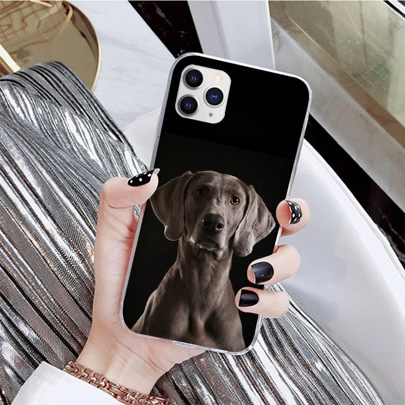 Dog Phone Case For Iphone 11 12 13 Mini Pro Max 8 7 6 6s Plus X 5 Se 2020 Xr Xs Case Shell Cute Funny Pattern Black Phone Case by Stevvex