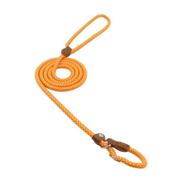 Nylon Pup Set - Lifestyle Haven