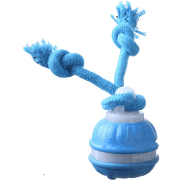 Interactive Pet Rolling Ball Toy USB Rechargeable - Lifestyle Haven