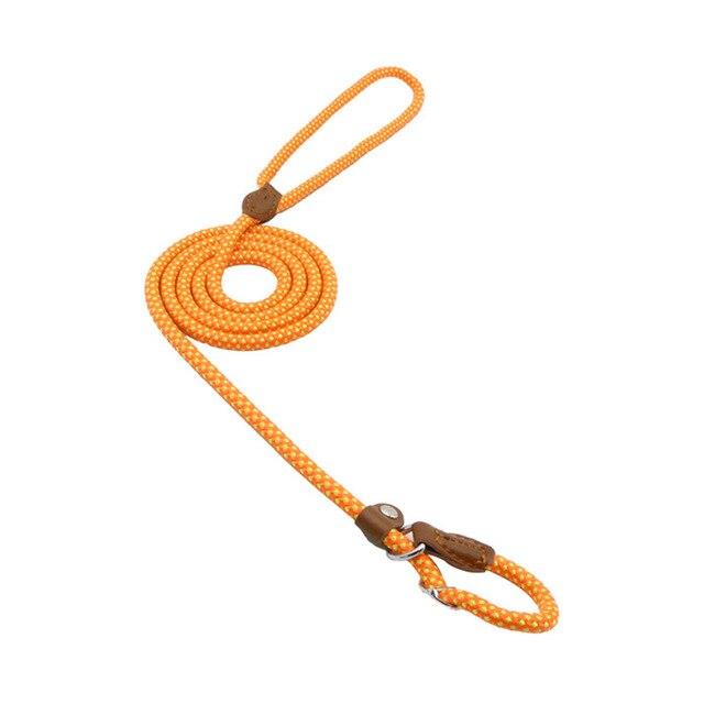 Nylon Pup Set - Lifestyle Haven