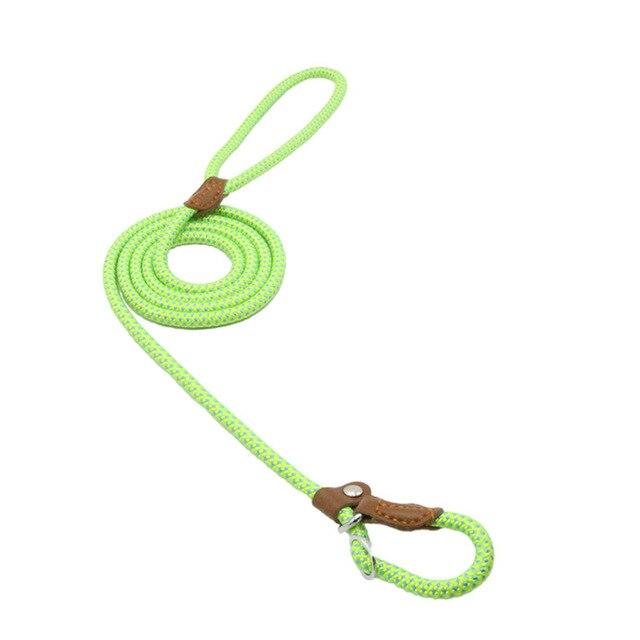 Nylon Pup Set - Lifestyle Haven