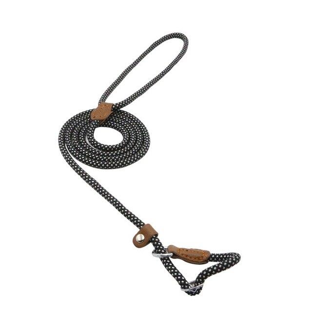Nylon Pup Set - Lifestyle Haven