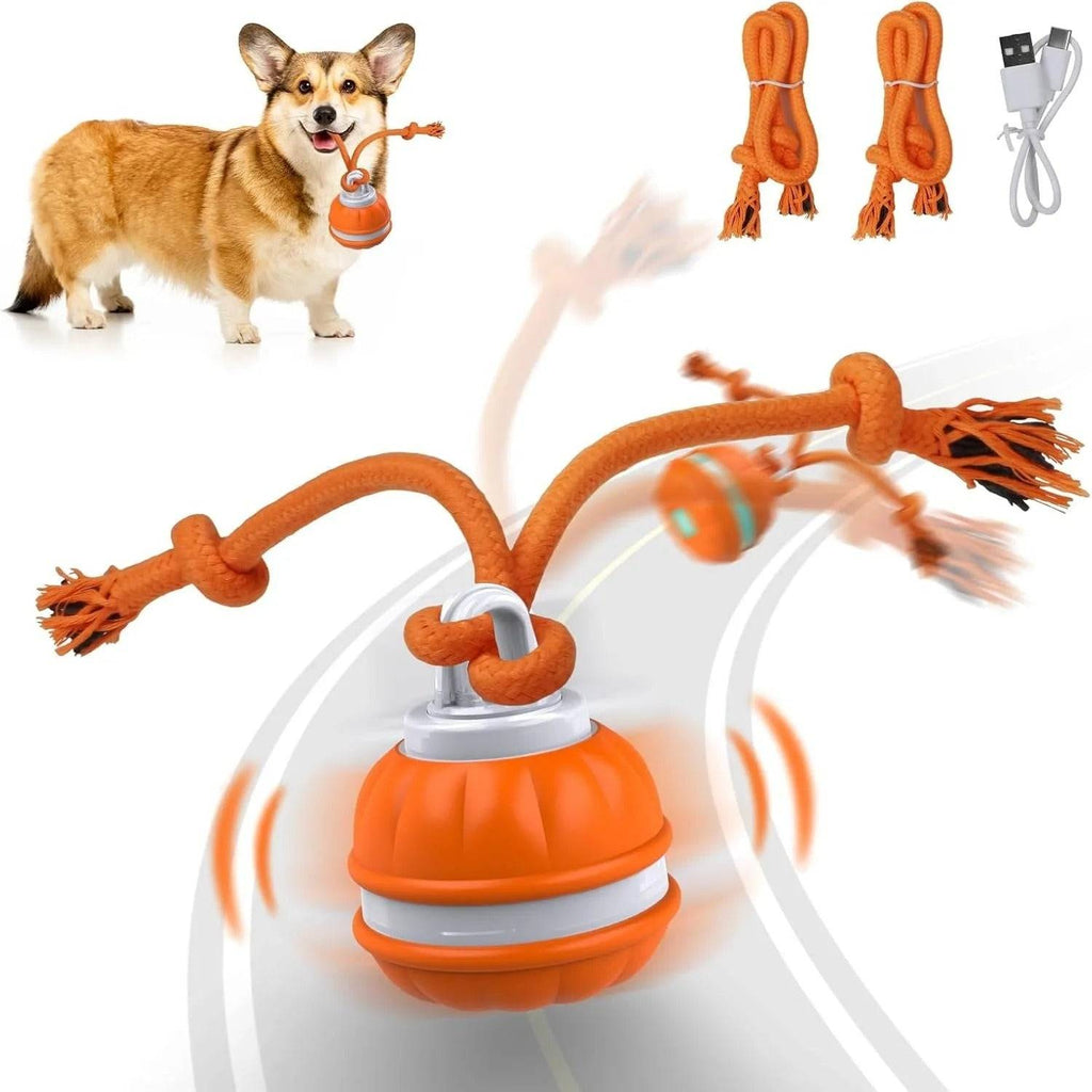 Interactive Pet Rolling Ball Toy USB Rechargeable - Lifestyle Haven